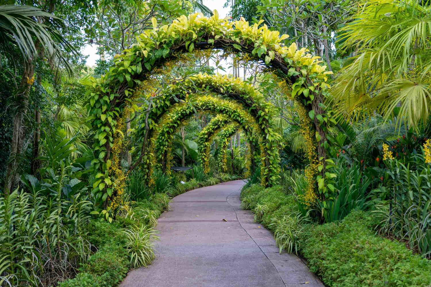 footpath-beautiful-arch-flowers-plants-1.jpg